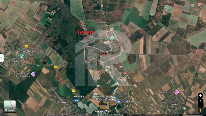 Refugiu la marginea padurii — 2822 mp de liniste in Cocani.