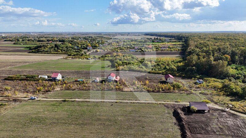 Refugiu la marginea padurii — 2822 mp de liniste in Cocani.