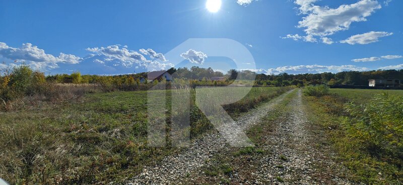 Refugiu la marginea padurii — 2822 mp de liniste in Cocani.